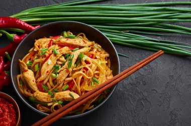 Tavuk Schezwan Eriştesi veya Hakka veya Chow Mein siyah kasede koyu arka planda. Schezwan Eriştesi, udon eriştesi, sebze ve acı biber soslu Hint-Çin mutfağı.