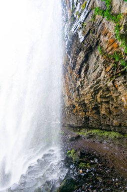 Büyük orman şelalesinin altında dev Velikan tropikal Abhazya manzarası. Dikey