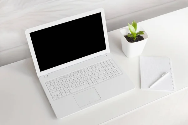 completely white modern workspace with laptop, notepad, plant and pen. minimal pure consept