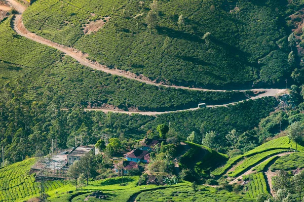 Foto Del Paisaje Montañoso Plantación Con Caminos Casas Foto Sacudida — Foto de Stock