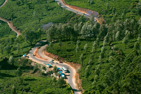 Foto Del Paisaje Montañoso Plantación Con Caminos Coches Foto Sacudida — Foto de Stock