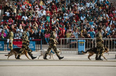 Hindistan Pakistan Sınır Şovu. 26 Şubat 2018 Amritsar, Hindistan