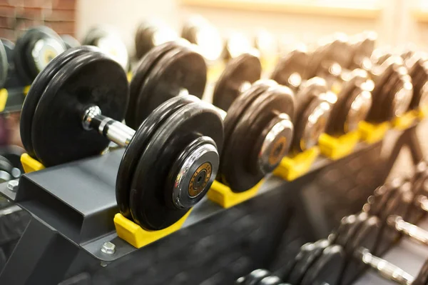 Salonda dambıllar kürek çekiyor. Spor güneşli arka plan. Yakın plan. Boşluğu kopyala