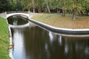 Sonbahar Parkı 'ndaki küçük bir nehrin üzerindeki taş köprü manzarası. Ördeğin kıyısına yerleşti.