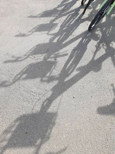 Sombras Bicicleta Asfalto Dia Ensolarado — Fotografia de Stock