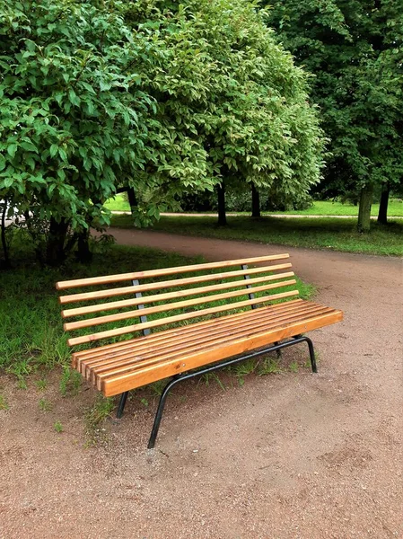 Panchina Del Parco Umido Albero Verde Erba — Foto Stock