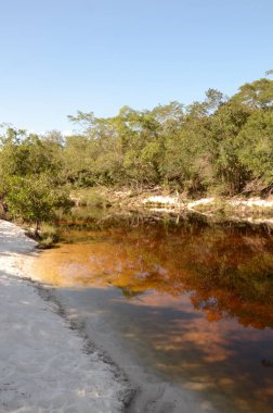 Minas Gerais 'deki Rio Preto Eyalet Parkı' ndaki kum ve balıklarla dolu nehre Prainha denir.)