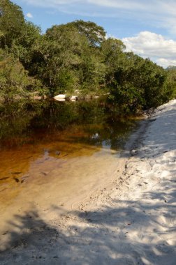 Minas Gerais 'deki Rio Preto Eyalet Parkı' ndaki kum ve balıklarla dolu nehre Prainha denir.)