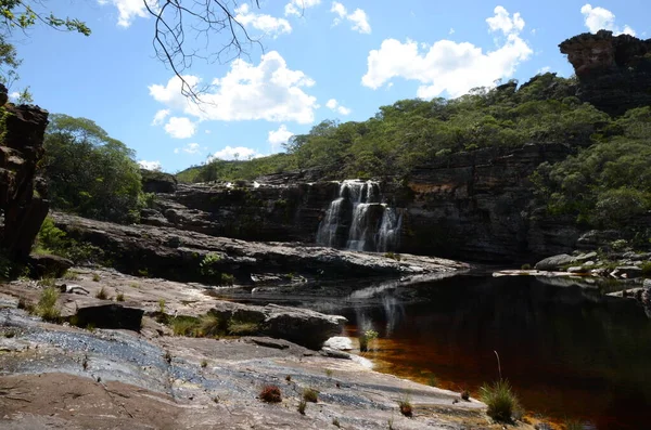 Waterfall in Rio Preto State Park in Minas Gerais at Cachoeira da Semper-Viva (translate to Always-Alive Waterfall, with is the popular name of Actinocephalus polyanthus)