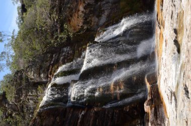 Rio Preto Eyalet Parkı, Minas Gerais, Cachoeira da Semper-Viva Şelalesi 'nde şelale.)