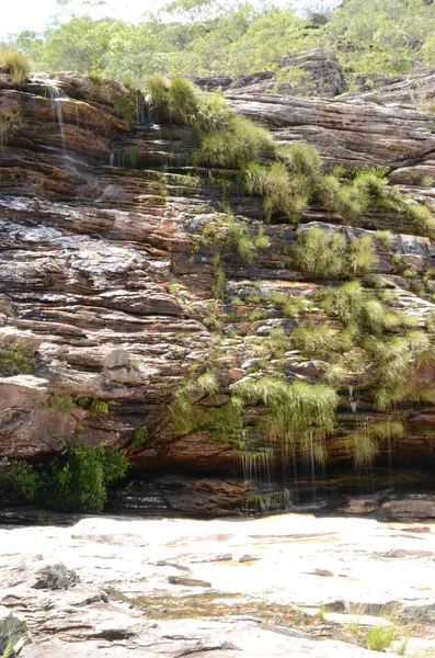 Dry Waterfall Wall Rio Preto State Park Minas Gerais Cachoeira — Stock Fotó