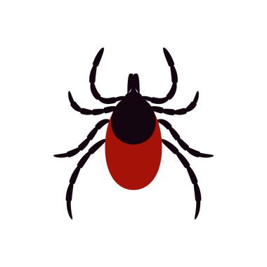 ixodid tick, vector illustration. icon on a white background. mite parasite. clipart