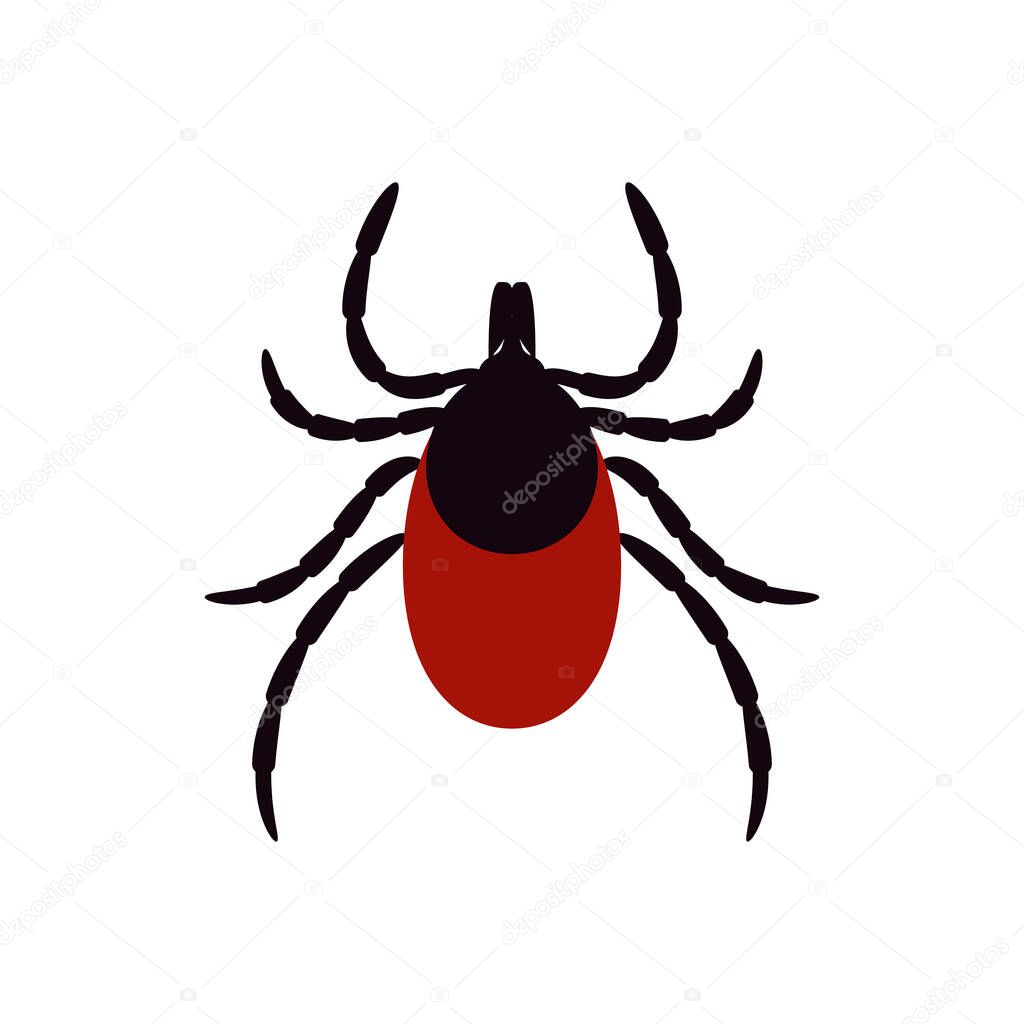 ixodid tick, vector illustration. icon on a white background. mite parasite.