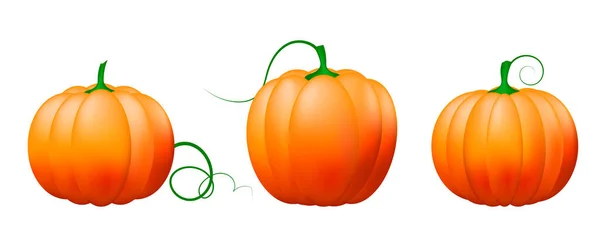 Conjunto Iconos Calabaza Vector Vegetal Aislado Sobre Fondo Blanco — Vector de stock