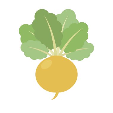 Turnip, Icon on white background. Vegetable whole. Root with tops.  Vector flat illustration. clipart