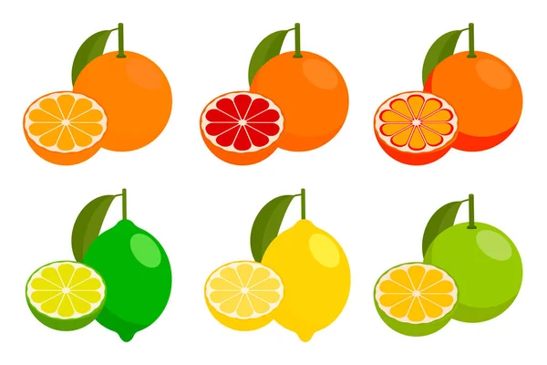 Icons Vector Citrus Fruits Orange Lemon Lime Grapefruit Tangerine Set — Stock Vector