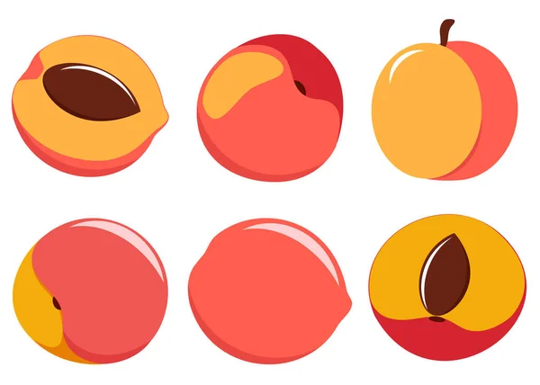 在白色背景上分离的向量桃子 全部水果和半成品的集合 — 图库矢量图片
