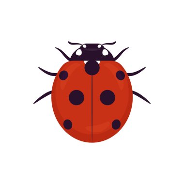 Uğur böceği, uğur böceği. Beyaz arkaplanda vektör simgesi. Siyah benekli kırmızı kanatlı sevimli böcek..