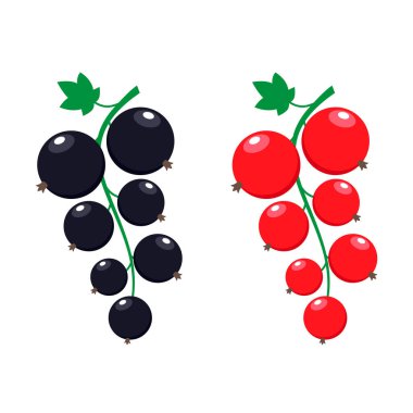 kuşüzümü vektör illüstrasyonu. Beyaz arkaplanda kırmızı ve siyah dutlar.