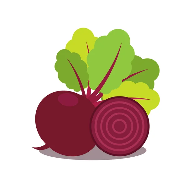 Rüben Symbol Auf Weißem Hintergrund Gemüse Ganz Und Die Hälfte — Stockvektor