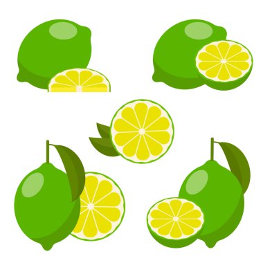 Simge seti kireç, beyaz arkaplanda vektör çizimi. Bütün meyveyi kesip parçalara ayırdım. turunçgil.