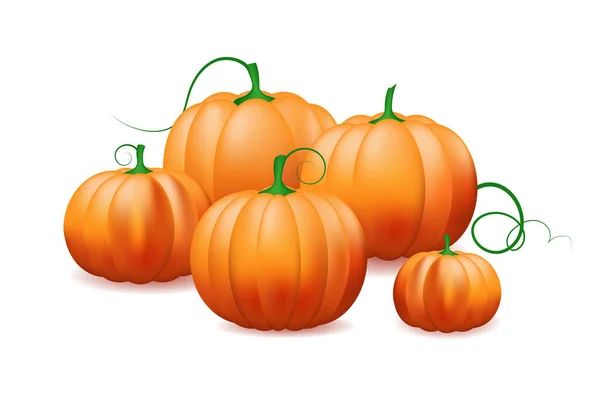 Pumpkin Vector Illustration Bunch Vegetables Isolated White Background — Stock Vector