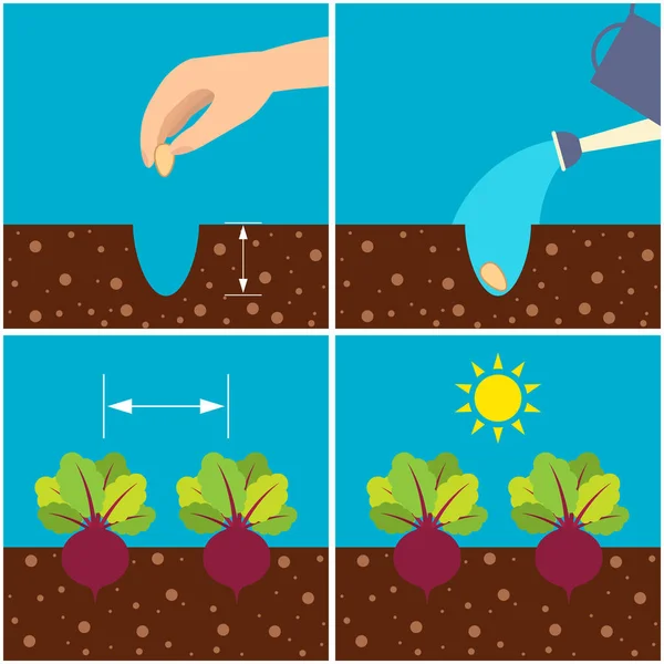 Planting seeds Vector Art Stock Images Depositphotos