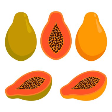 Papaya beyaz arka planda izole edildi. Tropik taze meyve koleksiyonu. vektör illüstrasyonu.