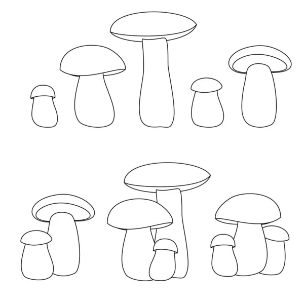 Porcini Biały Grzyb Boletus Zbiór Ikon Wektorowych Czarne Kontury Białym — Wektor stockowy