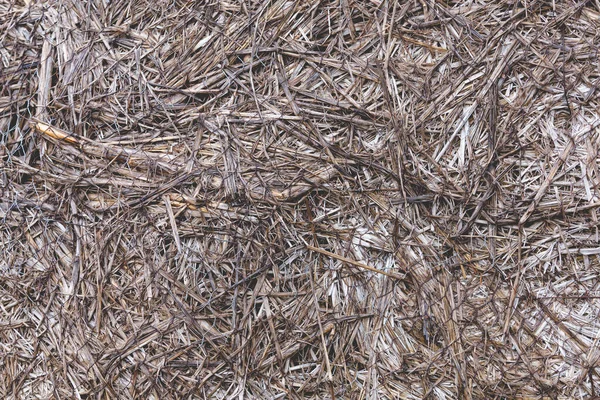 Tło Teksturowane Brązowe Suszone Trawy Liście Ziemi Słoma Tekstury Tła — Zdjęcie stockowe