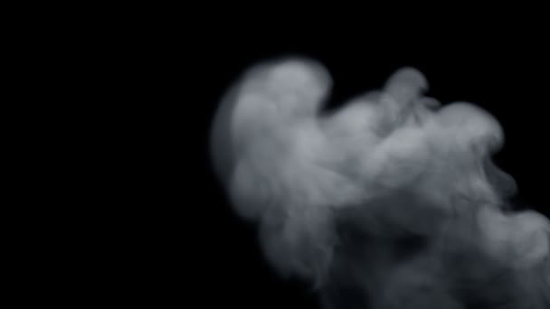Ελαφρώς Στροβιλίζονται Καπνό Πομπόν Κινείται Αριστερά Πάνω Μαύρο Φόντο — Αρχείο Βίντεο