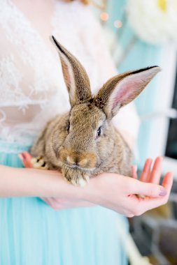 aile Paskalya kutlamaları