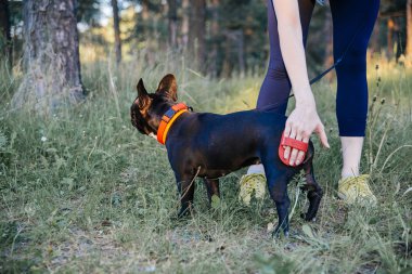 Köpeğini gezdiren kadın.