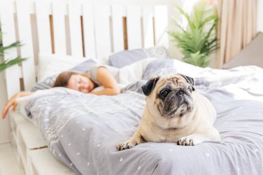 Köpeğini bir yatakta olan kadın. Yatakta kahvaltı