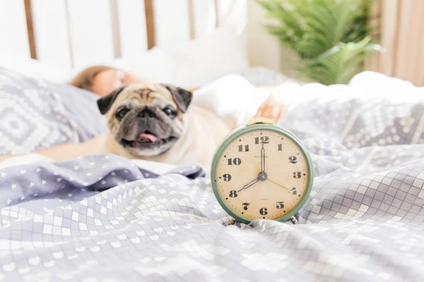 젊은 여자는 침대에 그녀의 강아지와 함께. 침대에서 아침 식사 — 스톡 사진