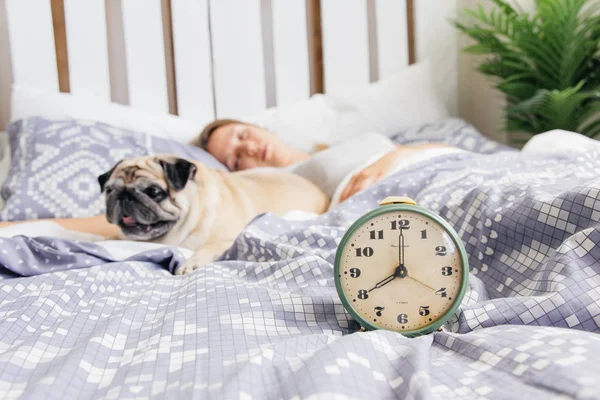 젊은 여자는 침대에 그녀의 강아지와 함께. 침대에서 아침 식사 — 스톡 사진