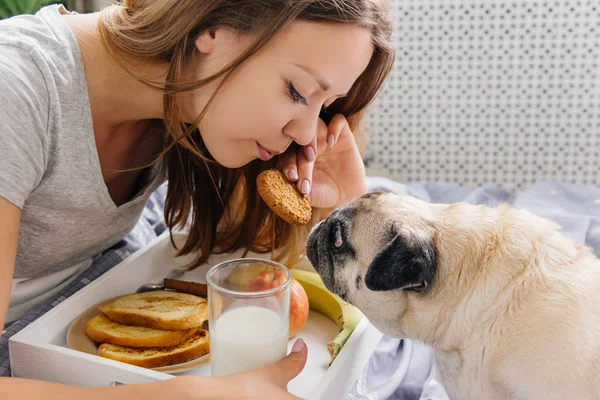 Junge Frau mit ihrem Hund im Bett. Frühstück im Bett — Stockfoto