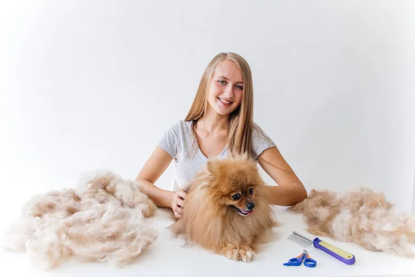 Portrét profesionální psí kadeřnice, péče psa — Stock fotografie