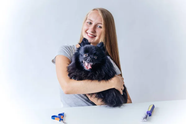 Un ritratto di un parrucchiere professionista per cani che cura un cane — Foto Stock