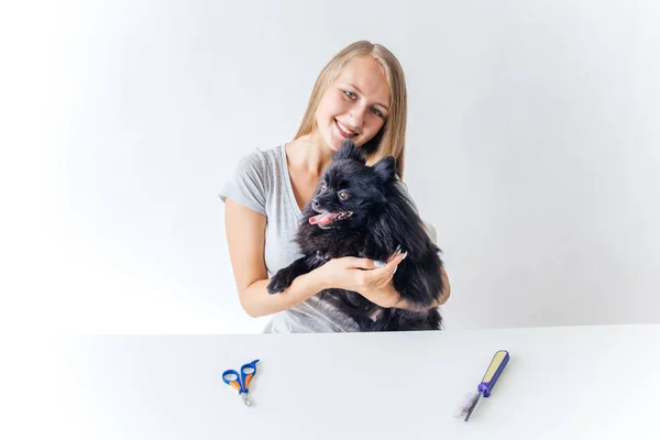 一个专业的狗理发师的肖像梳理狗 — 图库照片