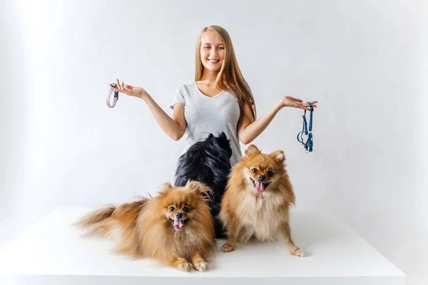 一个女人为狗选择皮带的肖像 — 图库照片