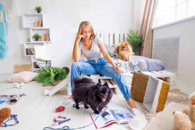 Köpekler evde oluşturdukları karışıklık ortasında