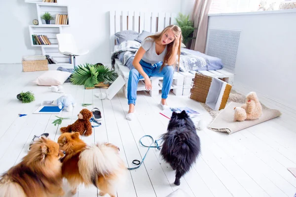 Hundar mitt i röran de skapat hemma — Stockfoto