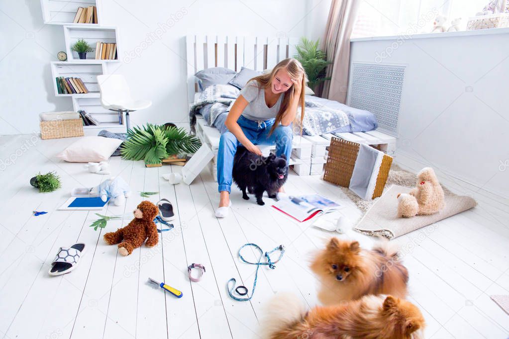 dogs in the middle of mess they created at home