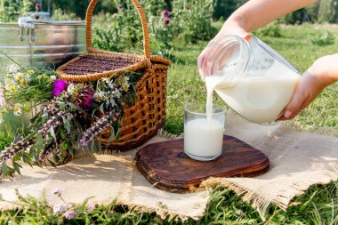 sürahi ve bardak chamomiles ile çim süt