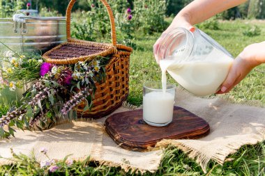 sürahi ve bardak chamomiles ile çim süt