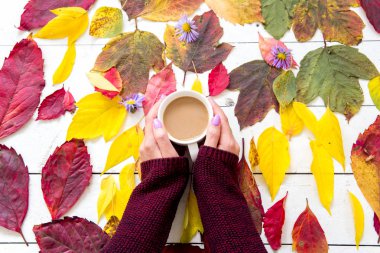 Beyaz zemin üzerine düşen yapraklar sonbaharda kompozisyon yapılmış