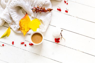 Beyaz zemin üzerine düşen yapraklar sonbaharda kompozisyon yapılmış