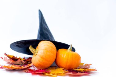 Cadılar Bayramı - jack o fener gözler önüne dekoratif Turuncu kabak