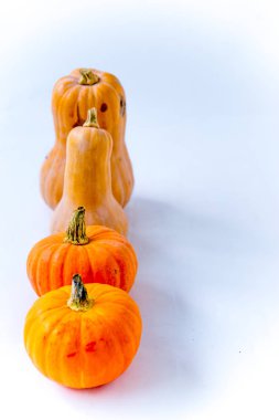 Cadılar Bayramı - jack o fener gözler önüne dekoratif Turuncu kabak